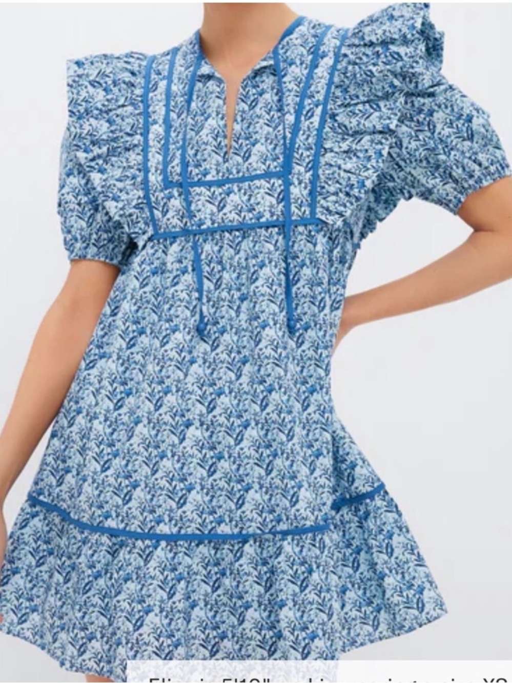 Blue Floral Puff-Sleeve Mini Dress with Contrast Banding